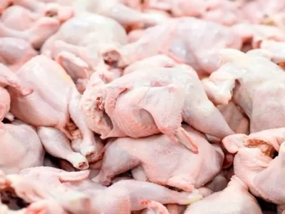 صدها کیلوگرام گوشت فاسد در غور از بین برده شد