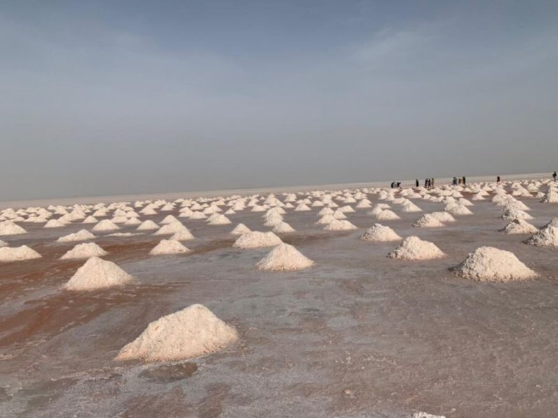 آغاز استخراج هفت بلاک معدن نمک غوریان هرات؛ زمینه کار برای ۱۵۰۰ تن فراهم میشود