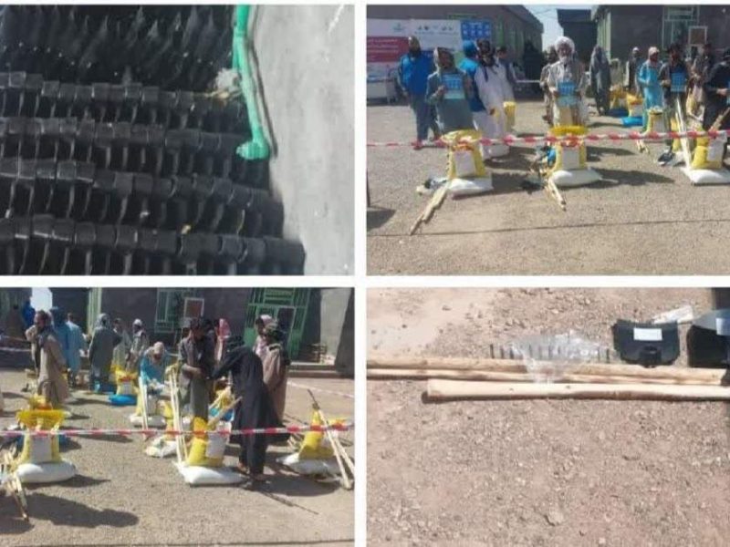 دهقانان فراه در انتظار حاصلات بهتر؛ توزیع تخم و کود آغاز شد