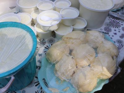 از هرات ماهانه 10 تُن «قروت و روغن حیوانی» به ترکیه ارسال می‌شود