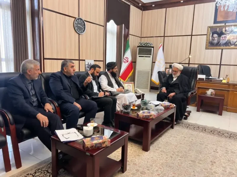 دیدار دیپلمات ارشد افغانستان با رئیس دیوان عالی ایران با محوریت مسائل مهاجران
