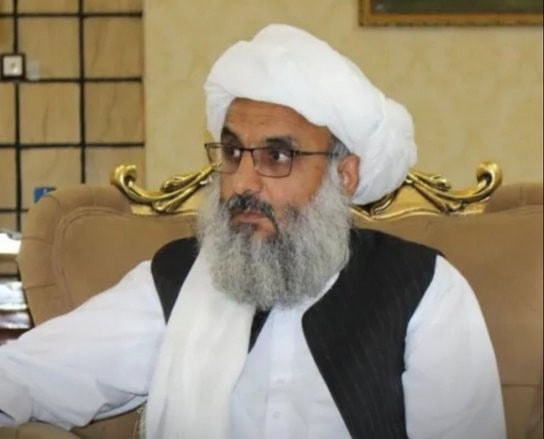 والی هرات خواستار همکاری ورلدویژن در توسعه کمربند سبز و زراعت مدرن شد