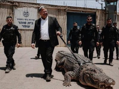 محاصره زندانیان فلسطینی با تمساح در اسرائیل؛ طرح موقتا تعلیق شد