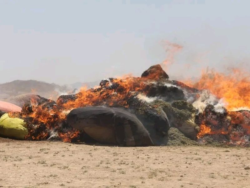 مبارزه با مواد مخدر صنعتی: چهار تُن اومان در بادغیس آتش زده شد