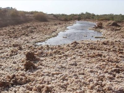 آغاز استخراج معدن نمک در فراه با سرمایه‌گذاری ۱۰ میلیون افغانی