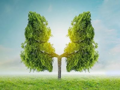 هوای پاک؛ مسئولیتی برای امروز و میراثی برای فردای افغانستان