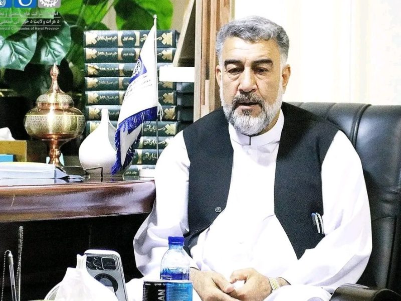 روی‌آوردن واردکنندگان مواد غذایی در هرات به تولیدات داخلی