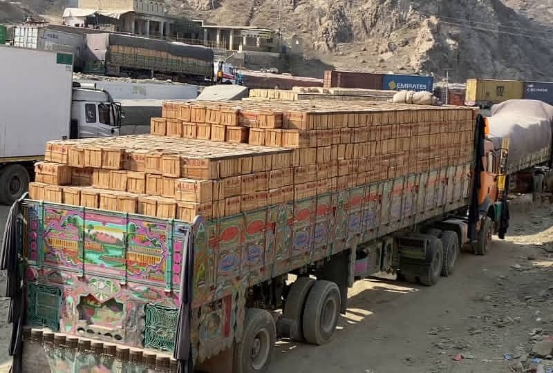 بازرگانان پاکستانی خواستار بازگشایی فوری گذرگاه‌های مرزی با افغانستان شدند