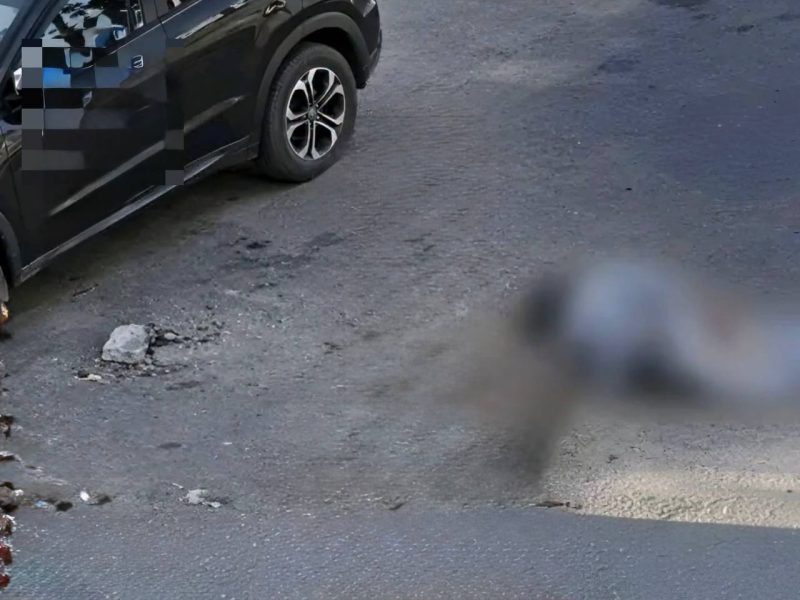 قتل جنجالی در هرات؛ پولیس می‌گوید خصومت شخصی است