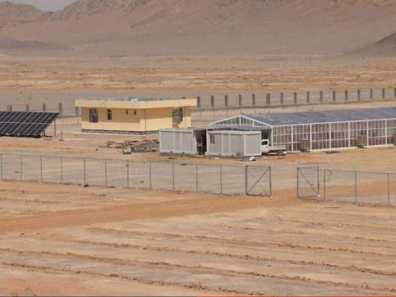 یک فارم تحقیقاتی با هزینه ۲۱ میلیون افغانی در دانشگاه فراه افتتاح شد