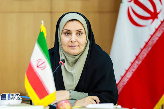 ایران خواستار گسترش خط آهن هرات تا آسیای مرکزی شد