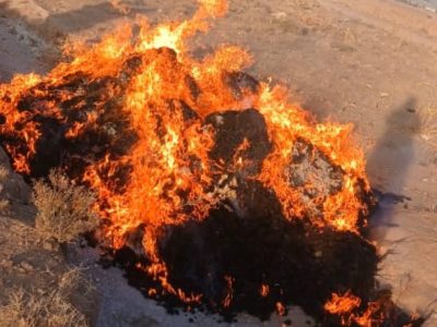 ۸۰۰ کیلوگرام موی زنان در هرات به آتش کشیده شد