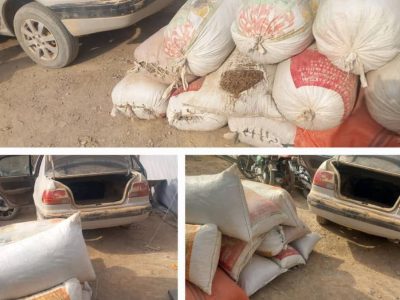 سه قاچاق‌بر مواد مخدر در فراه بازداشت شدند
